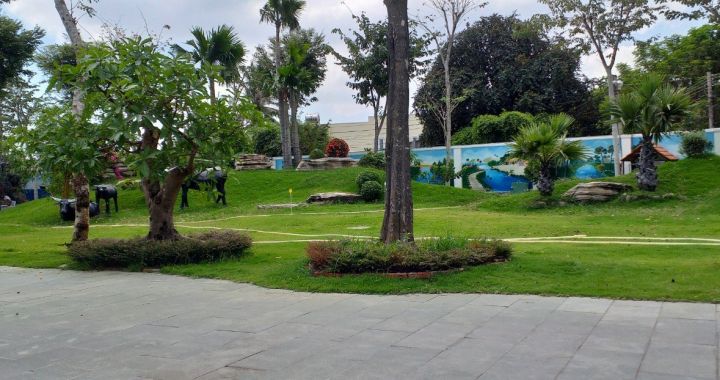 CÔNG TRÌNH THIẾT KẾ THI CÔNG BIỆT THỰ SÂN VƯỜN VÀ CAFE